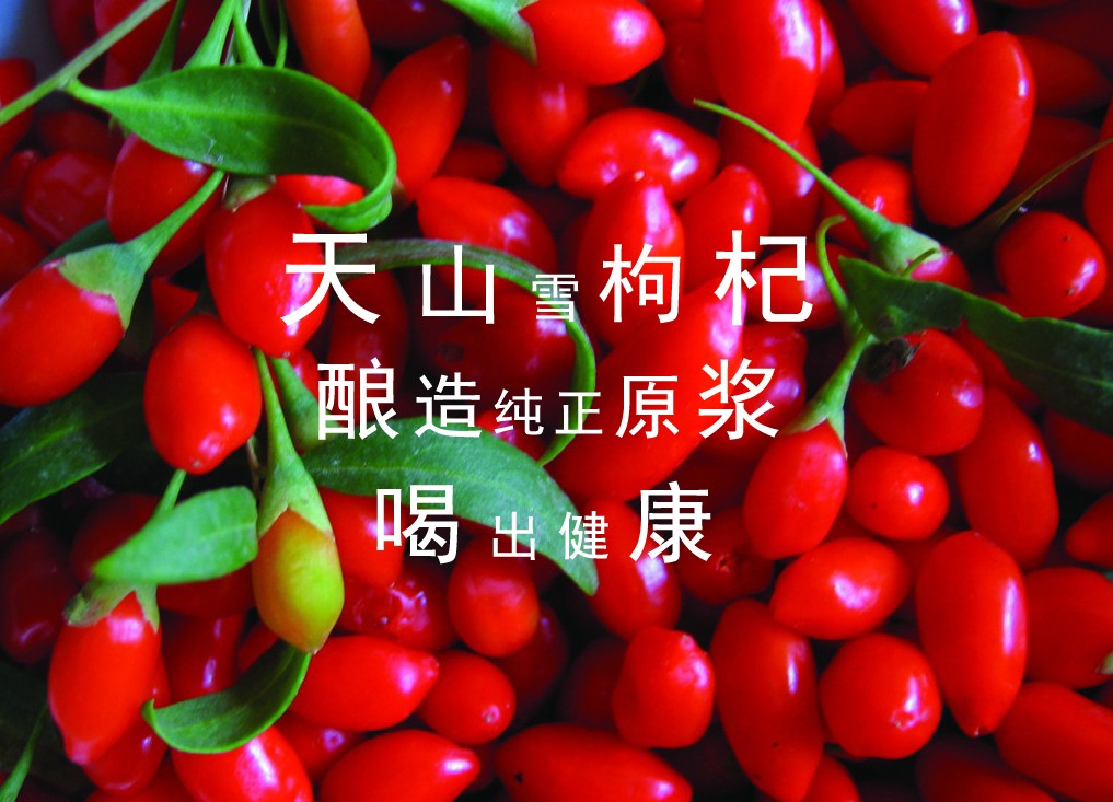 &#36125;&#21338;&#23089;&#20048;&#45;&#36125;&#21338;&#23089;&#20048;&#40;&#20013;&#22269;&#41;